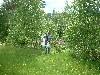 2003_0612_144249AA.jpg
